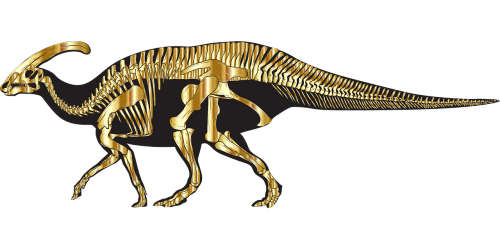 dinosaur skeleton by GDJ, Pixabay